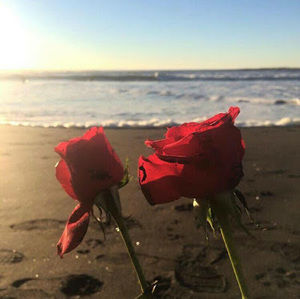 Meet your Posher, Raykamarie